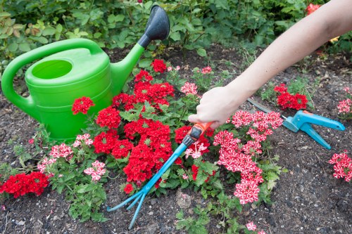 Gardener preparing to trim a hedge with safety gear