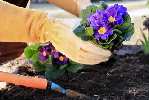 Garden maintenance crew clearing overgrowth in a suburban yard