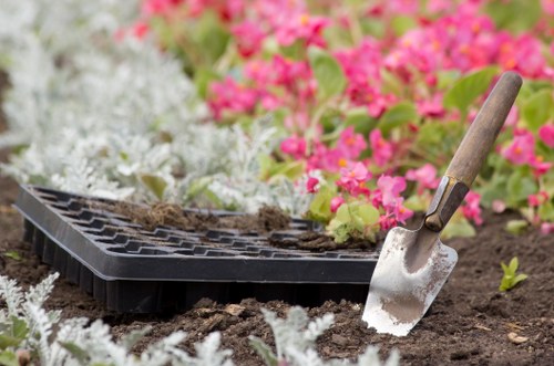 Close-up of hedge trimmer cutting branches