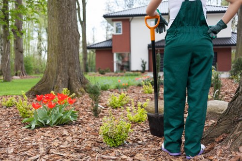 Selection of native and ornamental plants for Purley gardens